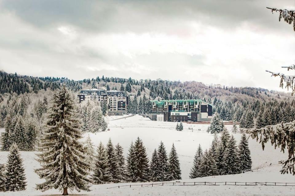 Silver Mountain G1 21 R Poiana Brașov Exterior foto